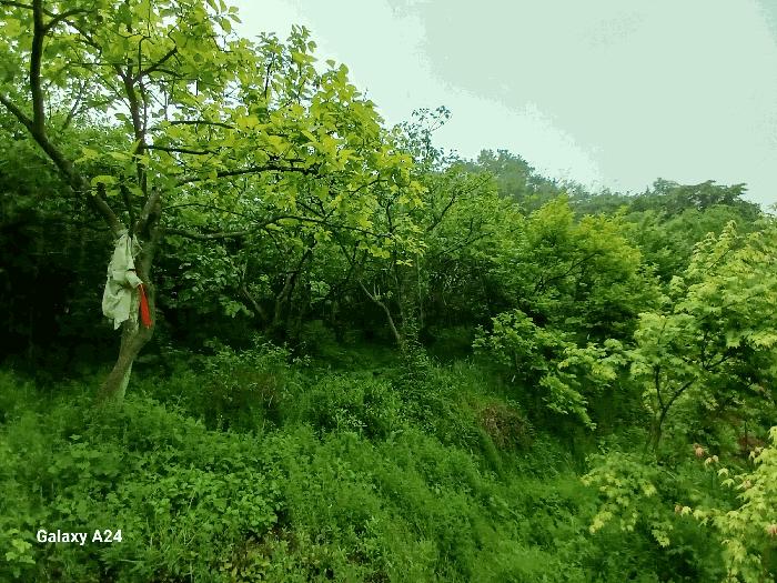 전라남도 광양시 진월면 신아리 22 전 경매 사진 8