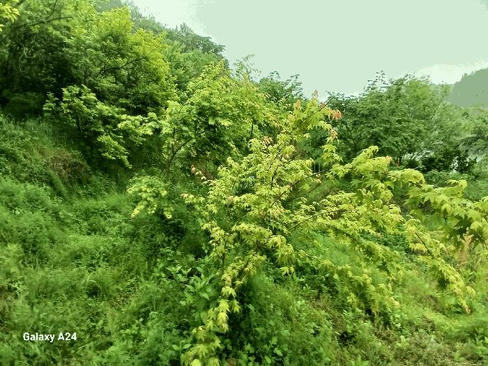 전라남도 광양시 진월면 신아리 22 전 경매 사진 9