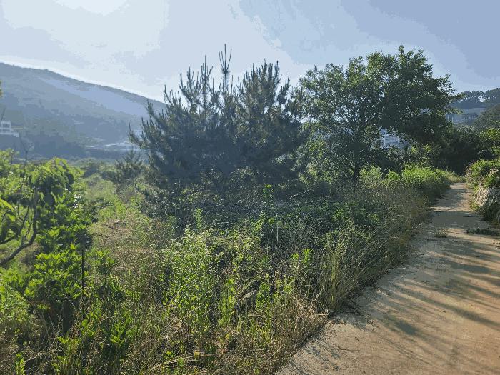 경상남도 거제시 일운면 와현리 411-2 답 경매 사진 1
