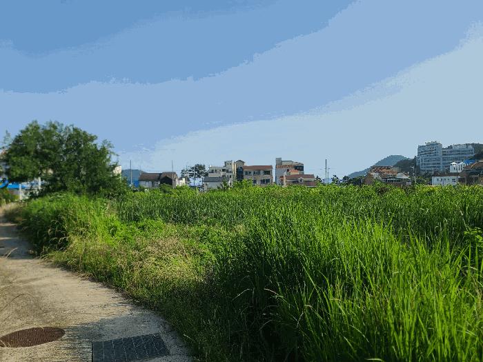 경상남도 거제시 일운면 와현리 411-2 답 경매 사진 2