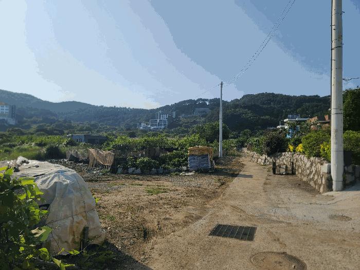 경상남도 거제시 일운면 와현리 411-2 답 경매 사진 3
