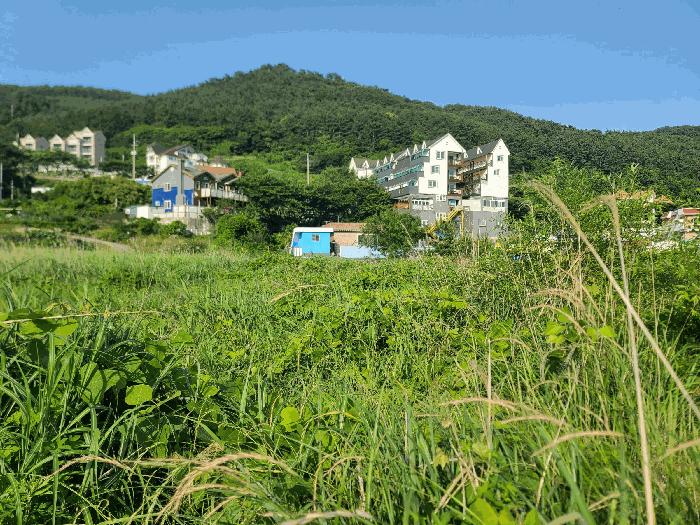 경상남도 거제시 일운면 와현리 411-2 답 경매 사진 4