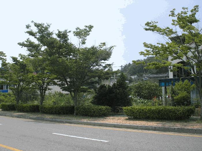 전라남도 순천시 대대동 579-1 답 경매 사진 2