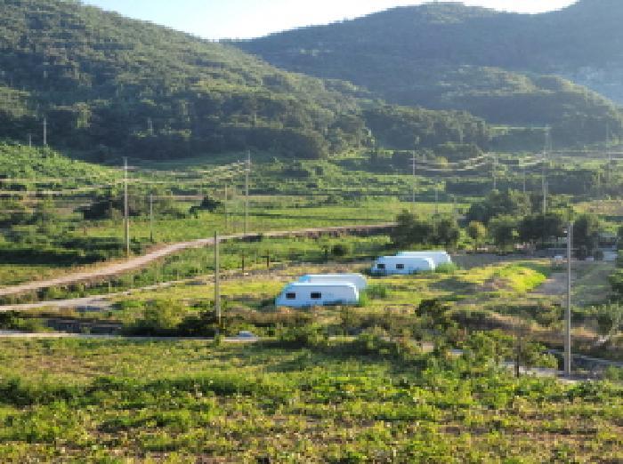 전라남도 고흥군 금산면 어전리 221 답 경매 사진 11