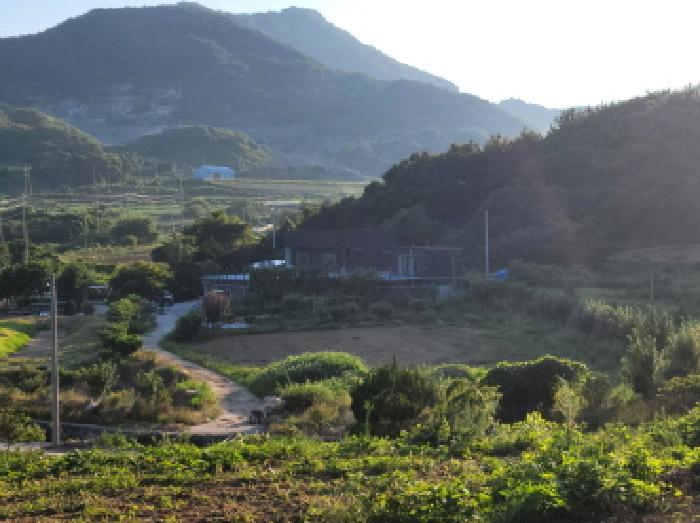 전라남도 고흥군 금산면 어전리 221 답 경매 사진 12