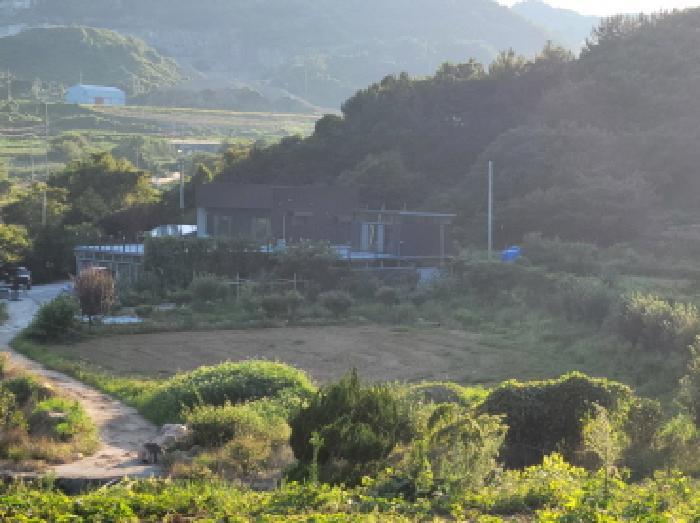 전라남도 고흥군 금산면 어전리 221 답 경매 사진 13