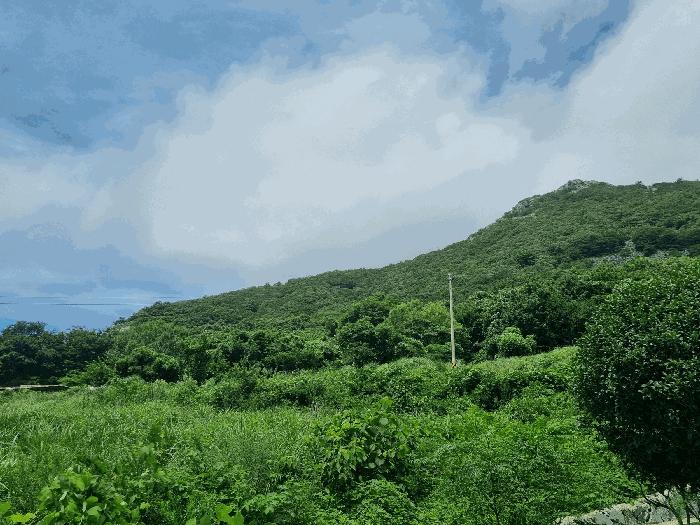 전라남도 고흥군 금산면 어전리 221 답 경매 사진 2
