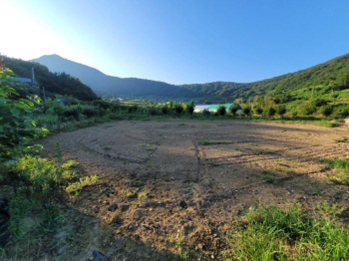 전라남도 고흥군 금산면 어전리 221 답 경매 사진 9