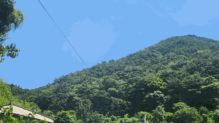 전라남도 순천시 승주읍 도정리 산263 임야 경매 사진 3
