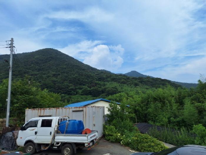 전라남도 순천시 승주읍 도정리 산263 임야 경매 사진 7