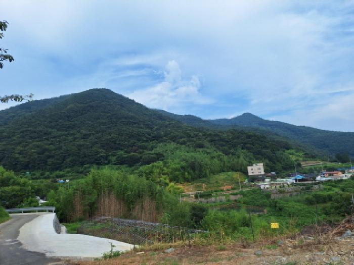 전라남도 순천시 승주읍 도정리 산263 임야 경매 사진 8