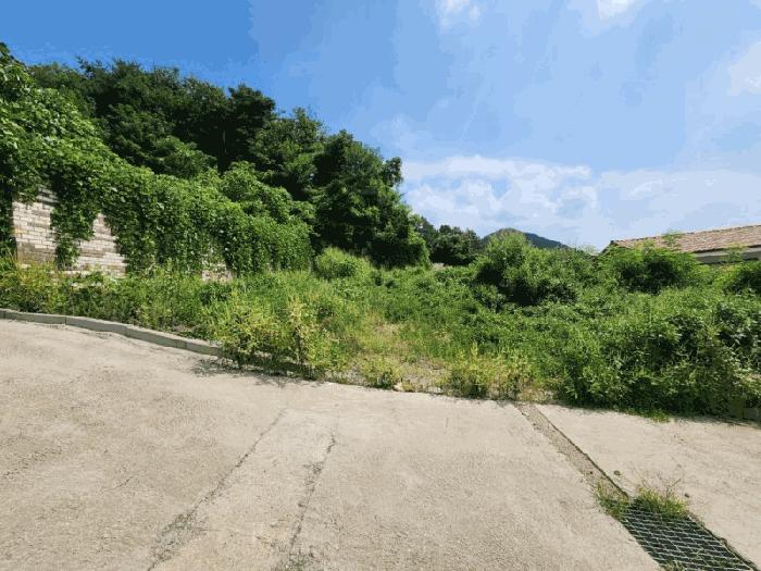 인천광역시 강화군 강화읍 국화리 793-34 임야 경매 사진 2