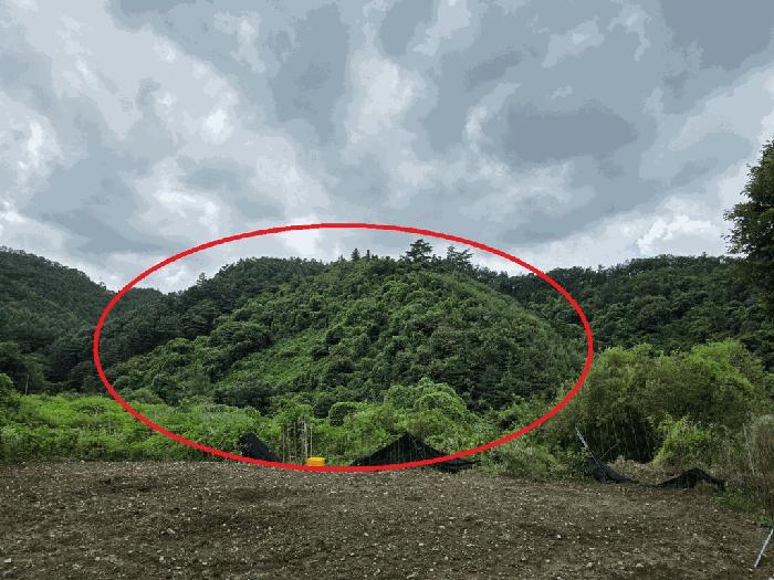 경기도 포천시 영북면 대회산리 산167 임야 경매 사진 3
