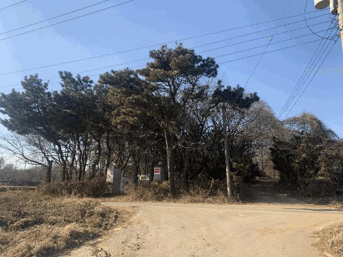 인천광역시 강화군 불은면 삼성리 438 전 경매 사진 12