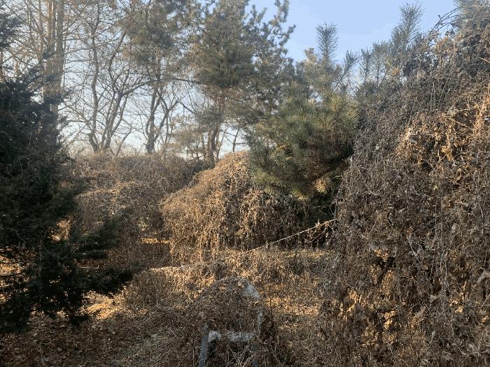 인천광역시 강화군 불은면 삼성리 438 전 경매 사진 14