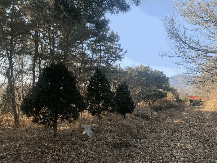 인천광역시 강화군 불은면 삼성리 438 전 경매 사진 18