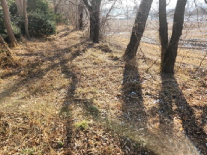 인천광역시 강화군 불은면 삼성리 438 전 경매 사진 22