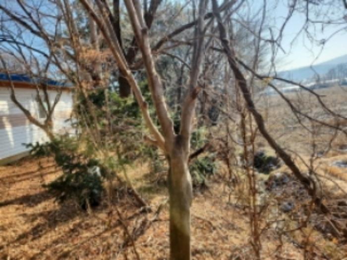 인천광역시 강화군 불은면 삼성리 438 전 경매 사진 23