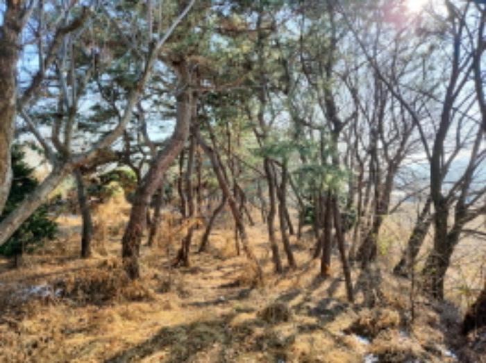 인천광역시 강화군 불은면 삼성리 438 전 경매 사진 27