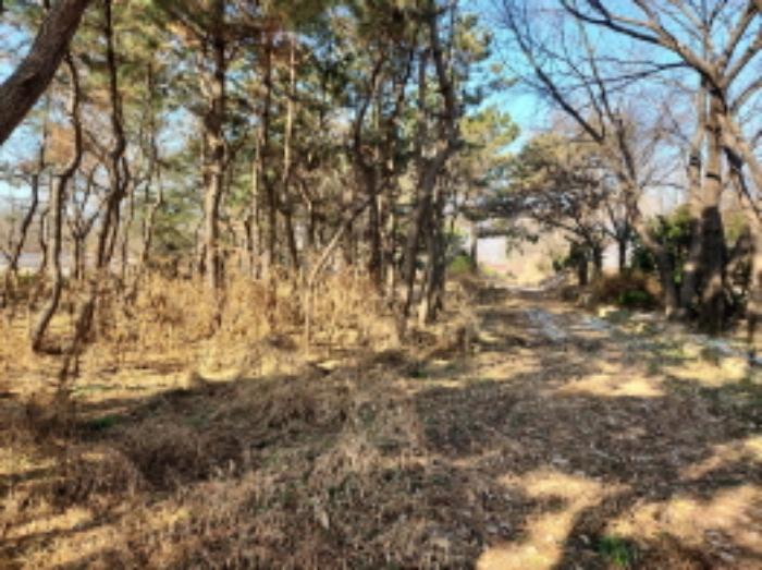 인천광역시 강화군 불은면 삼성리 438 전 경매 사진 28