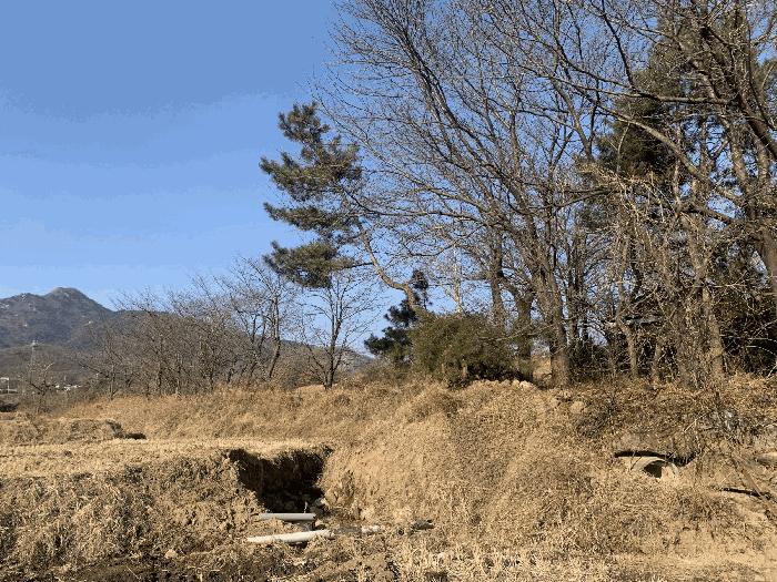 인천광역시 강화군 불은면 삼성리 438 전 경매 사진 8