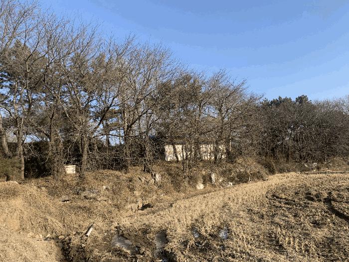인천광역시 강화군 불은면 삼성리 438 전 경매 사진 9