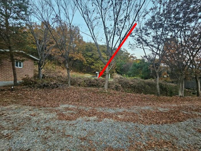 경기도 평택시 진위면 동천리 157 전 경매 사진 4