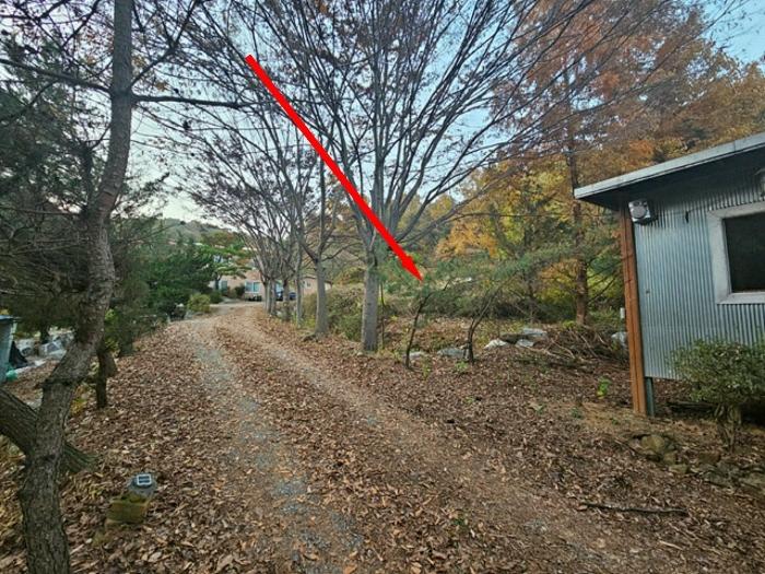 경기도 평택시 진위면 동천리 157 전 경매 사진 5