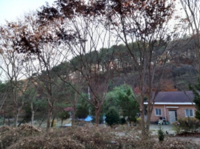 경기도 평택시 진위면 동천리 157 전 경매 사진 7