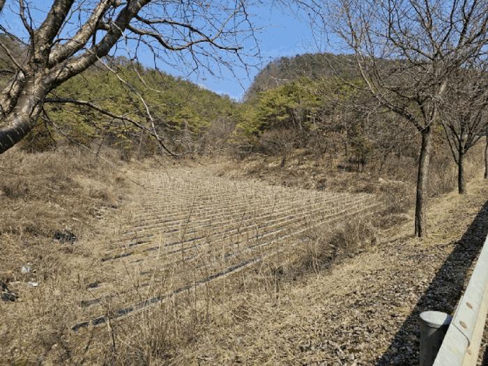 강원도 영월군 영월읍 삼옥리 760 전 경매 사진 1