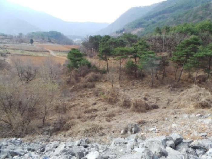 강원도 영월군 영월읍 삼옥리 760 전 경매 사진 10