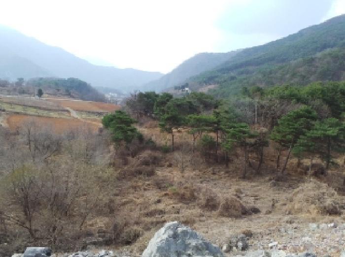 강원도 영월군 영월읍 삼옥리 760 전 경매 사진 11