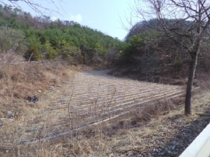 강원도 영월군 영월읍 삼옥리 760 전 경매 사진 8