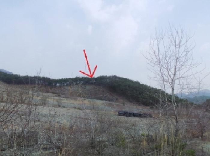 강원도 영월군 영월읍 삼옥리 760 전 경매 사진 9