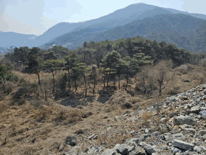강원특별자치도 영월군 영월읍 삼옥리 994 전 경매 사진 5
