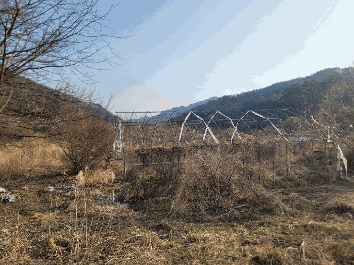 강원특별자치도 영월군 무릉도원면 운학리 856 전 경매 사진 2