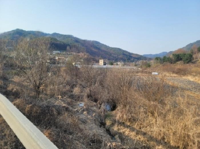 강원특별자치도 영월군 무릉도원면 운학리 856 전 경매 사진 3