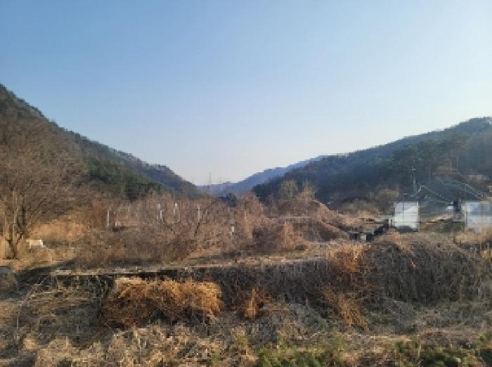 강원특별자치도 영월군 무릉도원면 운학리 856 전 경매 사진 4