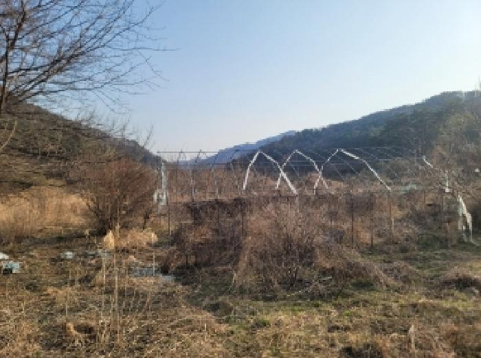 강원특별자치도 영월군 무릉도원면 운학리 856 전 경매 사진 5