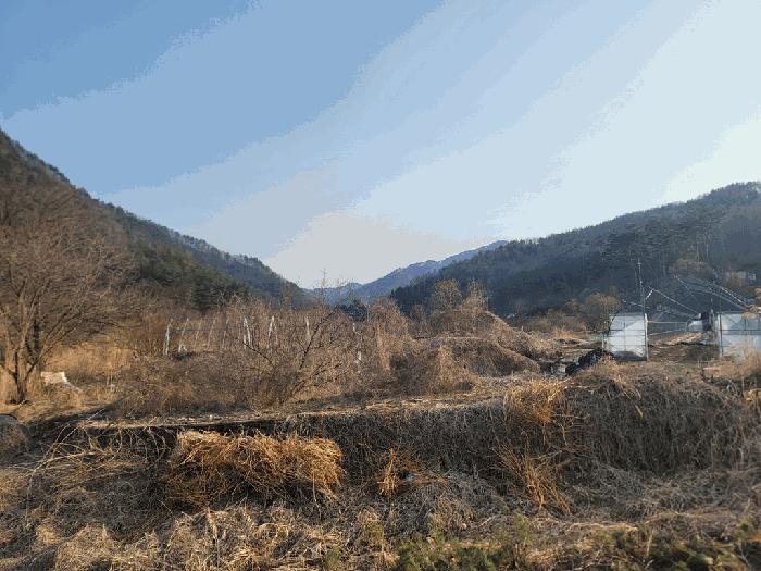 강원특별자치도 영월군 무릉도원면 운학리 856 전 경매 사진 6