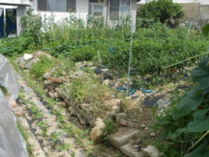 충청북도 청주시 청원구 충청대로 56-7, 1층102호구) 충청북도 청주시 청원구 내덕동 412-96 다세대(빌라) 경매 사진 17
