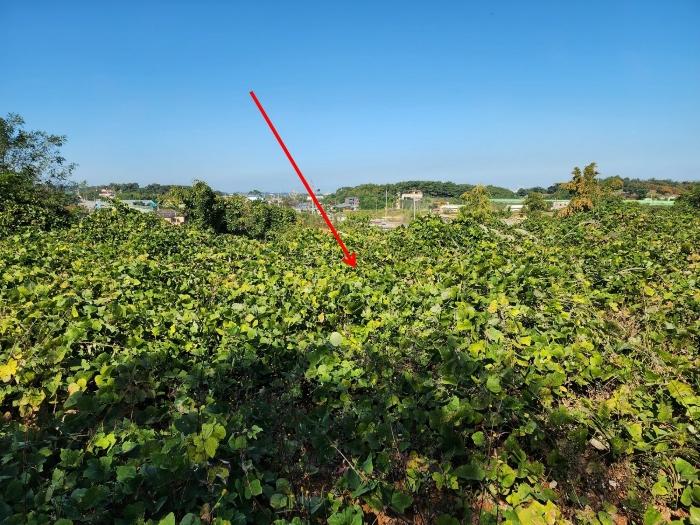 충청남도 당진시 석문면 통정리 417-1 대지 경매 사진 28