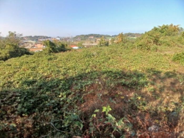 충청남도 당진시 석문면 통정리 417-1 대지 경매 사진 53