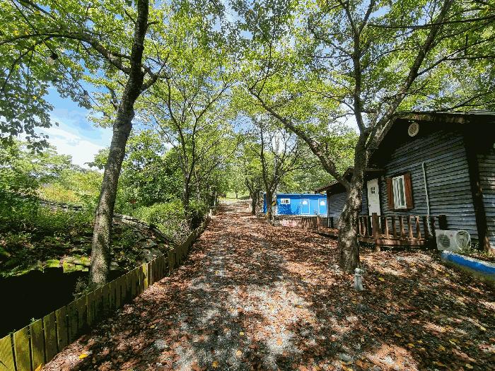 충청북도 청주시 상당구 미원면 운암리 229-1 펜션(캠핑장) 경매 사진 43