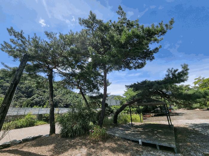 충청북도 청주시 상당구 미원면 운암리 229-1 펜션(캠핑장) 경매 사진 44