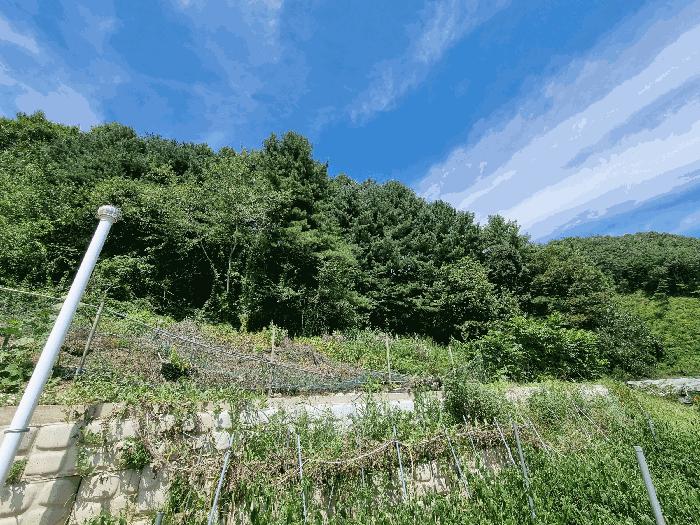 충청북도 청주시 상당구 미원면 운암리 229-1 펜션(캠핑장) 경매 사진 59