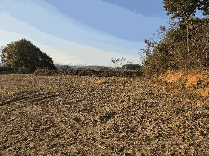 충청북도 진천군 덕산읍 용몽리 176-3 전 경매 사진 2