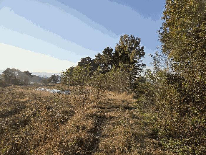 충청북도 진천군 덕산읍 용몽리 176-3 전 경매 사진 3