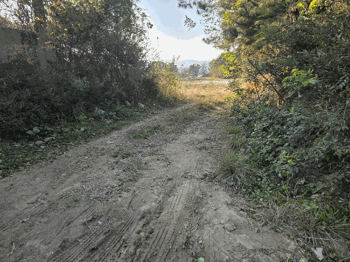 충청북도 진천군 덕산읍 용몽리 176-3 전 경매 사진 5
