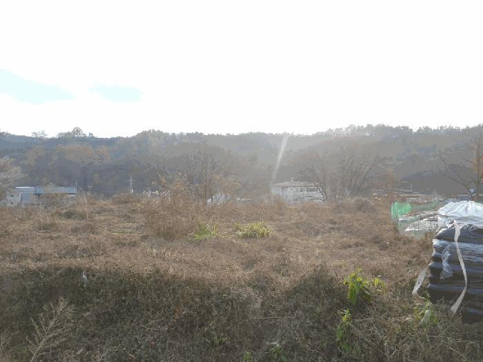 충청북도 청주시 상당구 남일면 화당리 466 전 경매 사진 1
